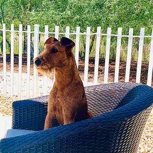 Meet your Posher, Cindy